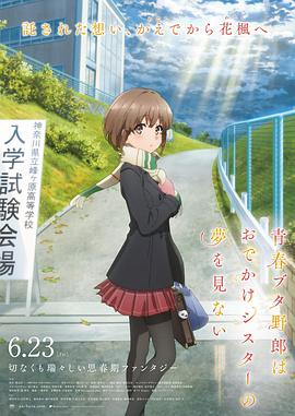 亚洲国产aⅴ精品一区二区